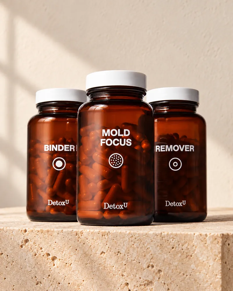 Mold Focus protocol: Binder, Mold Focus and Remover bottles on a stone plinth